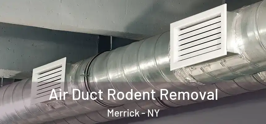 Air Duct Rodent Removal Merrick - NY
