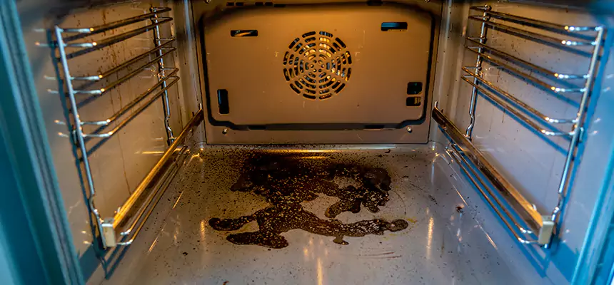 Our Dryer Vent Mold Cleaning Services in Merrick, NY