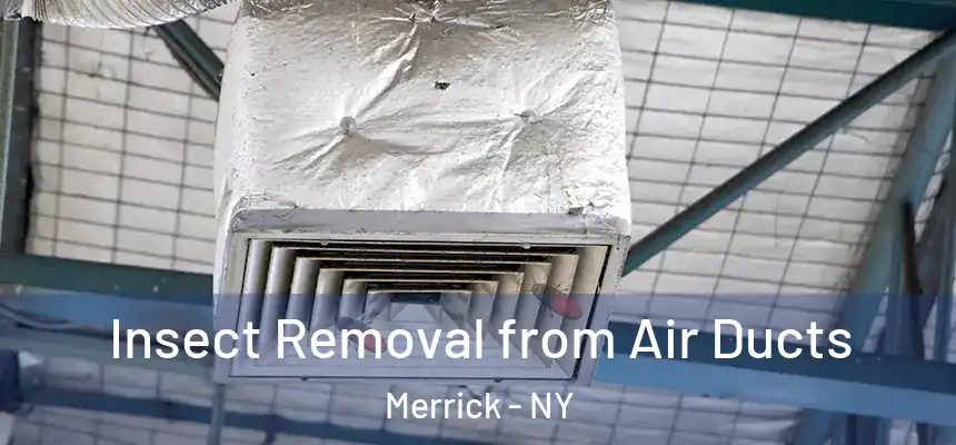  Insect Removal from Air Ducts Merrick - NY