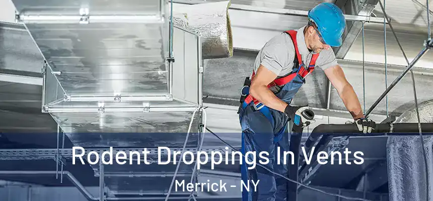 Rodent Droppings In Vents Merrick - NY