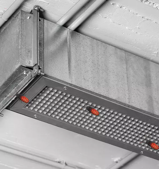 Affordable Insect Removal from Air Ducts in Merrick, NY
