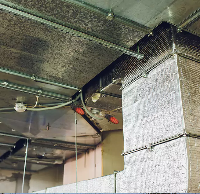 Why Homeowners & Businesses Trust Us Merrick, NY?