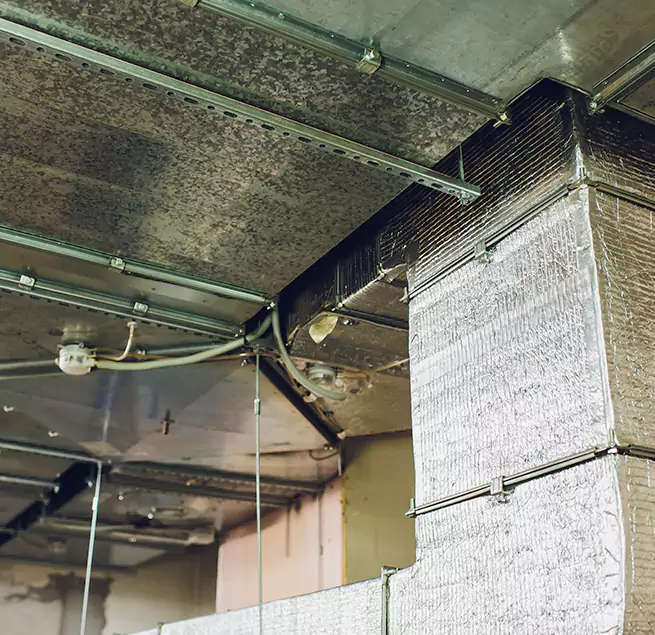 Why Homeowners & Businesses Trust Us in Merrick, NY?